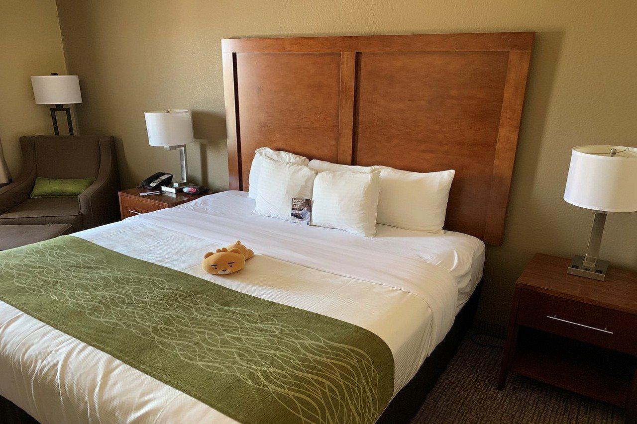 Comfort Inn Midland South I-20 Bagian luar foto