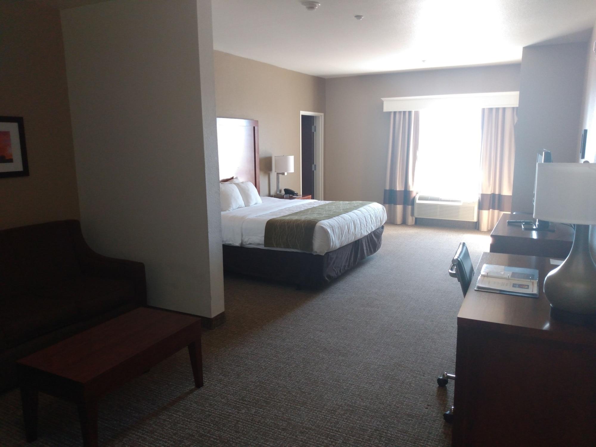 Comfort Inn Midland South I-20 Bagian luar foto